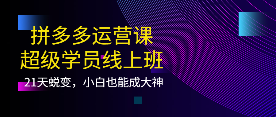 拼多多运营课：超级学员线上班，21天蜕变，小白也能成大神|琦哥资源