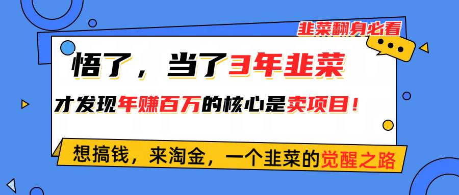 悟了，当了3年韭菜，才发现网赚圈年赚100万的核心是卖项目，含泪分享！|琦哥资源