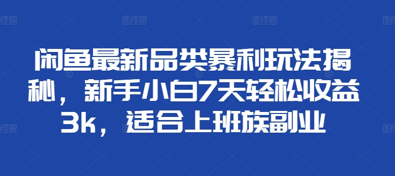 闲鱼最新品类暴利玩法揭秘，新手小白7天轻松赚3000+，适合上班族副业|琦哥资源