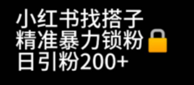 小红书找搭子暴力精准锁粉+引流日引200+精准粉|琦哥资源