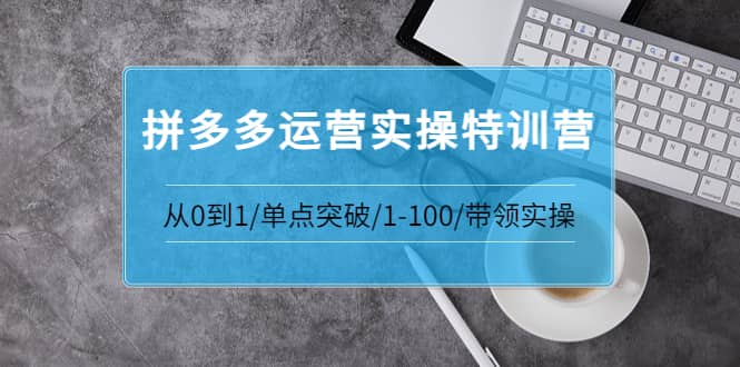 拼多多运营实操特训营：从0到1/单点突破/1-100/带领实操 价值2980元|琦哥资源