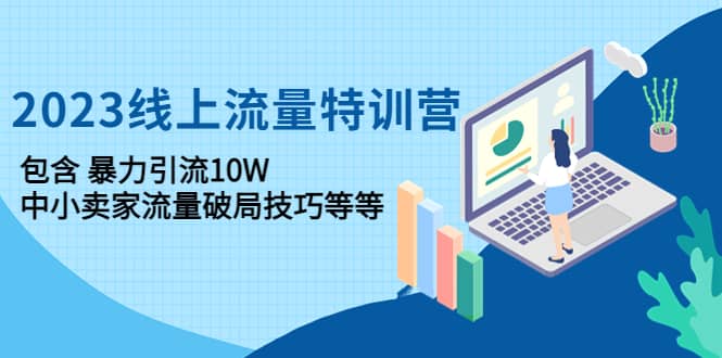2023线上流量特训营：中小卖家流量破局技巧等等|琦哥资源