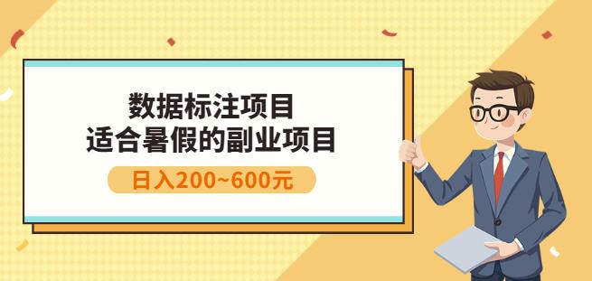 副业赚钱：人工智能数据标注项目，简单易上手，小白也能日入200+|琦哥资源
