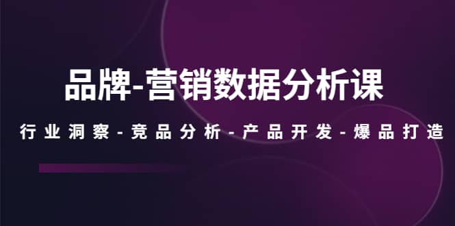 品牌-营销数据分析课，行业洞察-竞品分析-产品开发-爆品打造|琦哥资源