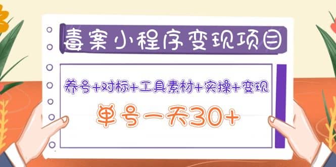 毒案小程序变现项目：养号+对标+工具素材+实操+变现|琦哥资源