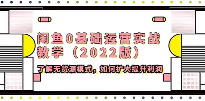 闲鱼0基础运营实战教学（2022版）了解无货源模式，如何扩大提升利润|琦哥资源