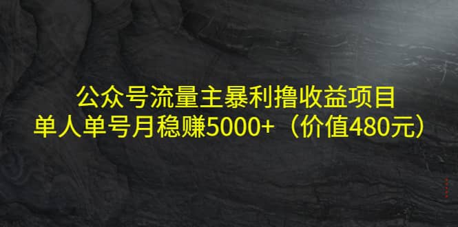 公众号流量主暴利撸收益项目，单人单号月稳赚5000+（价值480元）|琦哥资源