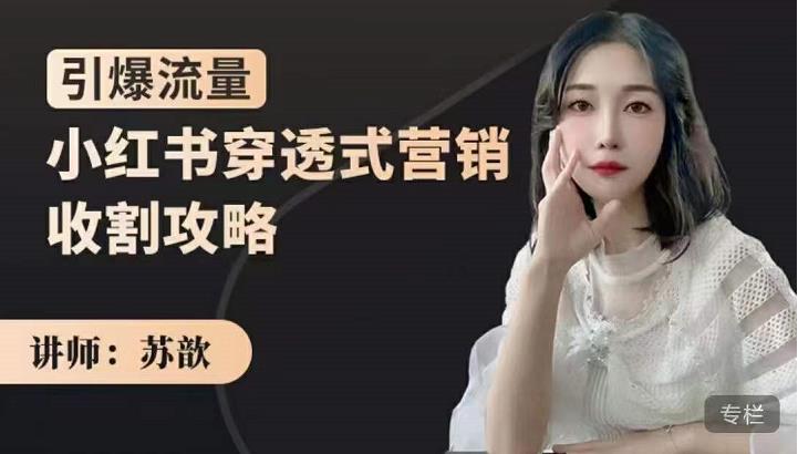 小红书穿透式营销收割攻略，引爆流量，助你玩转小红书|琦哥资源