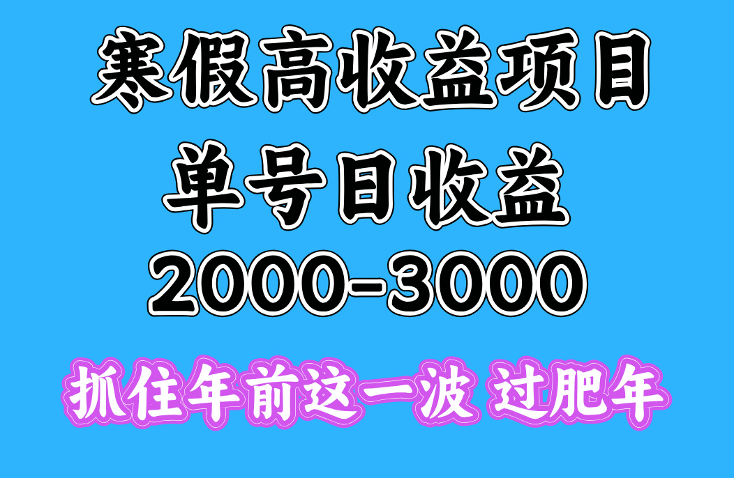 寒假期间一天收益2000-3000+，抓住年前这一波|琦哥资源