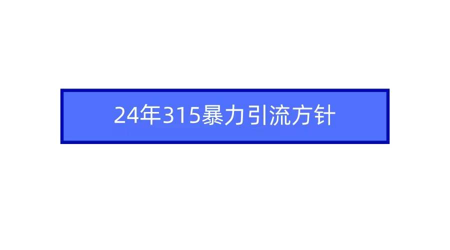 2024年315暴力引流方针|琦哥资源