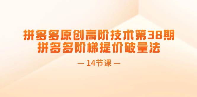 拼多多原创高阶技术第38期，拼多多阶梯提价破量法（14节课）|琦哥资源