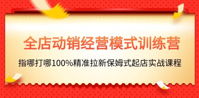 全店动销-经营模式训练营，指哪打哪100%精准拉新保姆式起店实战课程|琦哥资源