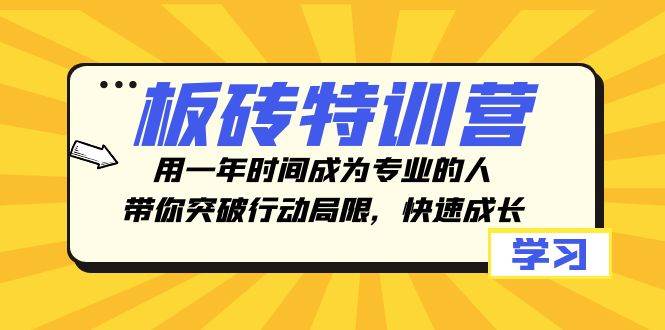 板砖特训营，用一年时间成为专业的人，带你突破行动局限，快速成长|琦哥资源