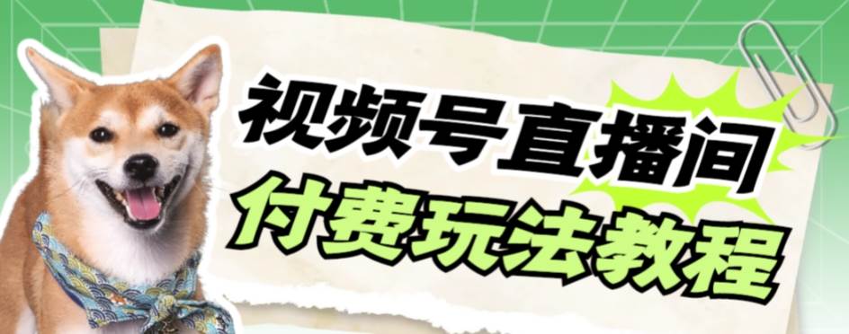 视频号美女付费无人直播，轻松日入500+【详细玩|琦哥资源