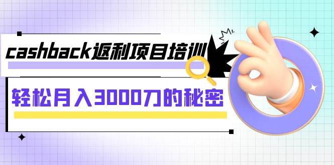 cashback返利项目培训：轻松月入3000刀的秘密（8节课）|琦哥资源