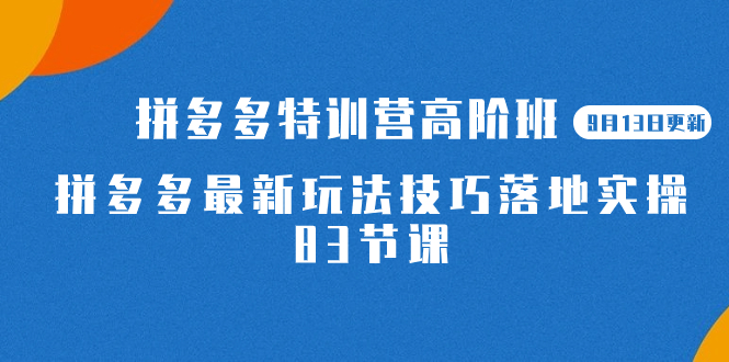 2023拼多多·特训营高阶班【9月13日更新】拼多多最新玩法技巧落地实操-83节|琦哥资源
