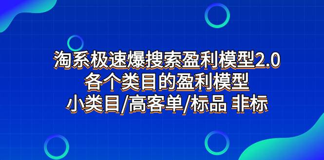 淘系极速爆搜索盈利模型2.0，各个类目的盈利模型，小类目/高客单/标品 非标|琦哥资源