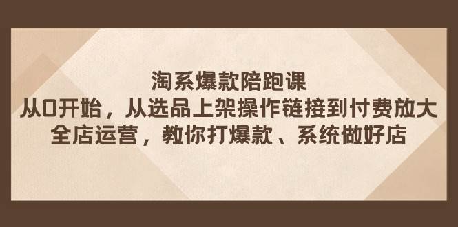 淘系爆款陪跑课 从选品上架操作链接到付费放大 全店运营 打爆款 系统做好店|琦哥资源