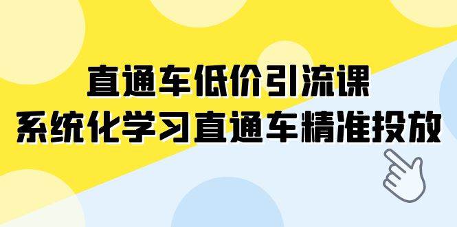 直通车-低价引流课，系统化学习直通车精准投放（14节课）|琦哥资源
