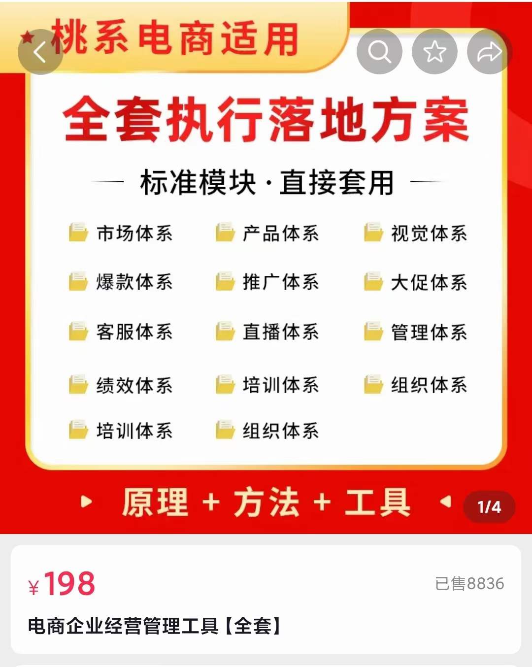 外面卖198·电商企业经营管理工具：全套执行落地方案 标准模块·直接套用|琦哥资源