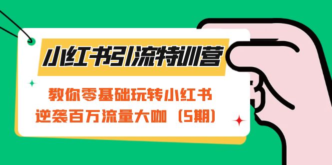 小红书引流特训营-第5期：教你零基础玩转小红书，逆袭百万流量大咖|琦哥资源