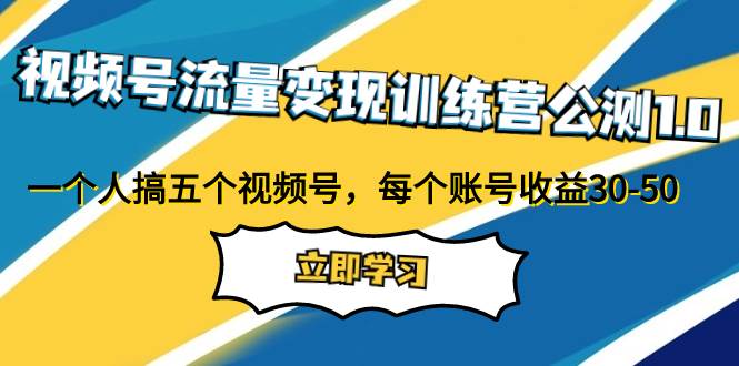 视频号流量变现训练营公测1.0：一个人搞五个视频号，每个账号收益30-50|琦哥资源