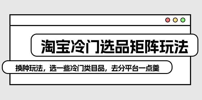 淘宝冷门选品矩阵玩法：换种玩法，选一些冷门类目品，去分平台一点羹|琦哥资源