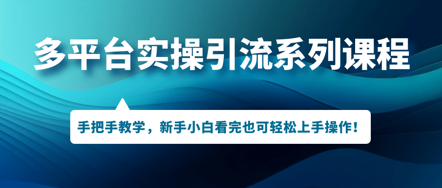 多平台实操引流系列课程，手把手教学，新手小白看完也可轻松上手引流操作|琦哥资源