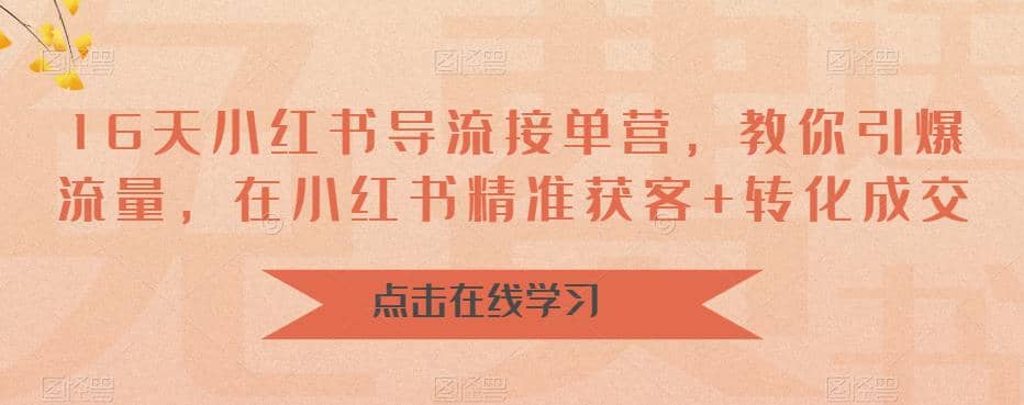 16天-小红书 导流接单营，教你引爆流量，在小红书精准获客+转化成交|琦哥资源