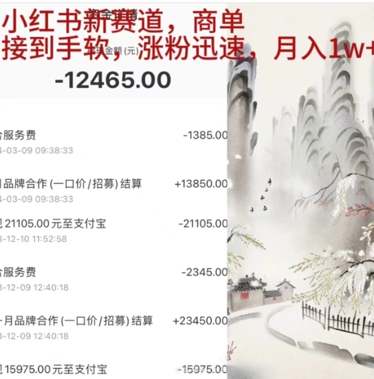 小红书新赛道，商单接到手软，涨粉迅速，一个月1w+|琦哥资源