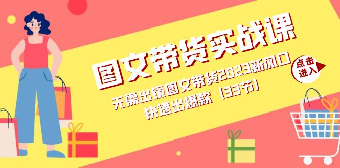 图文带货实战课：无需出镜图文带货2023新风口，快速出爆款（33节）|琦哥资源