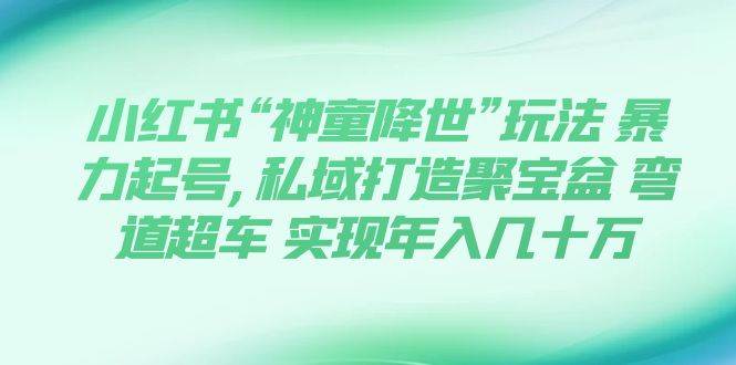 小红书“神童降世”玩法 暴力起号,私域打造聚宝盆 弯道超车 实现年入几十万|琦哥资源