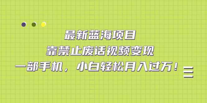 最新蓝海项目，靠禁止废话视频变现，一部手机，小白轻松月入过万！|琦哥资源