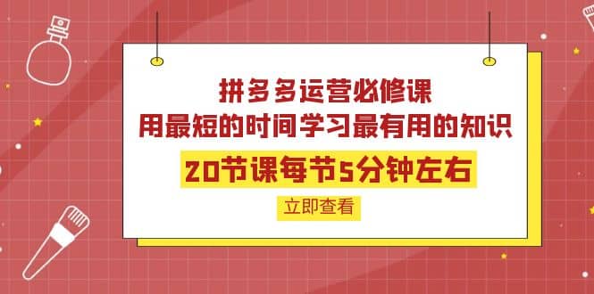 拼多多运营必修课：20节课每节5分钟左右，用最短的时间学习最有用的知识|琦哥资源