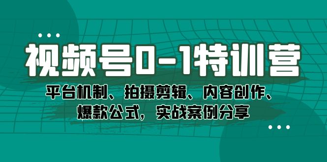视频号0-1特训营：平台机制、拍摄剪辑、内容创作、爆款公式，实战案例分享|琦哥资源