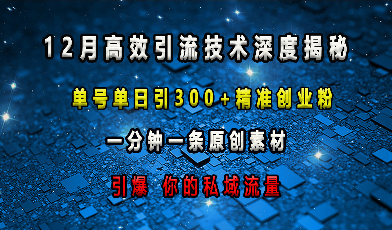 12月高效引流技术深度揭秘 ，单号单日引300+精准创业粉，一分钟一条原创素材，引爆你的私域流量|琦哥资源