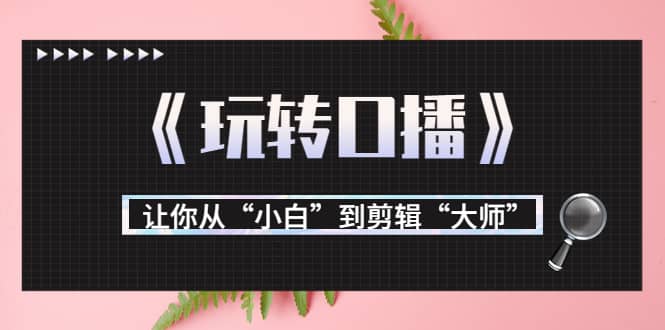 月营业额700万+大佬教您《玩转口播》让你从“小白”到剪辑“大师”|琦哥资源