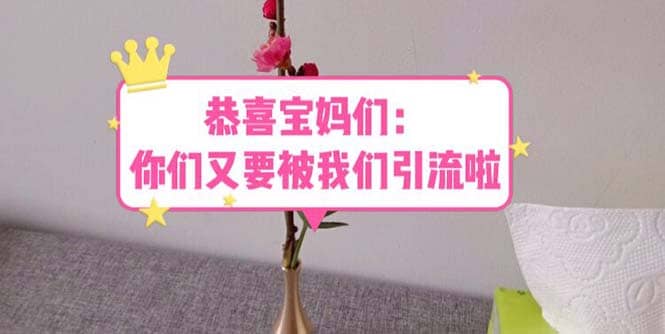 恭喜宝妈们：你们又要被我们引流了（教程+222g资料）|琦哥资源