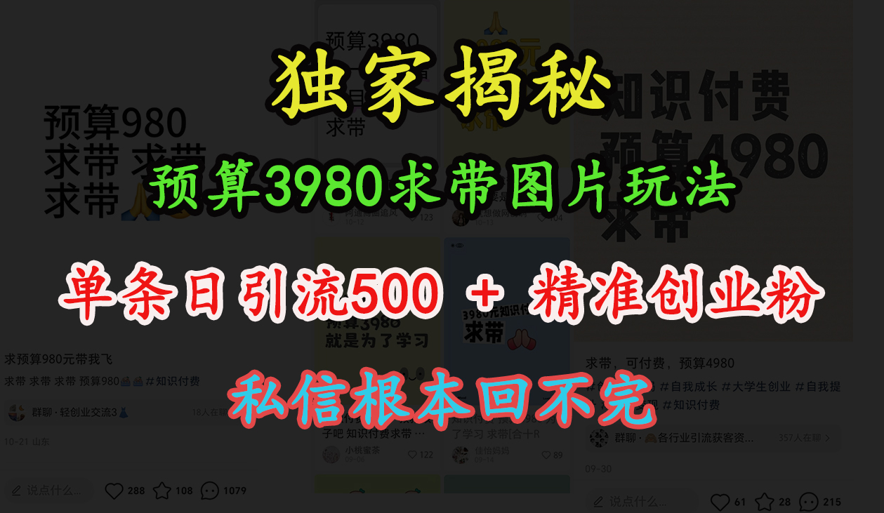 “小红书”预算3980求带 图片玩法，单条日引流500+精准创业粉，私信根本回不完|琦哥资源