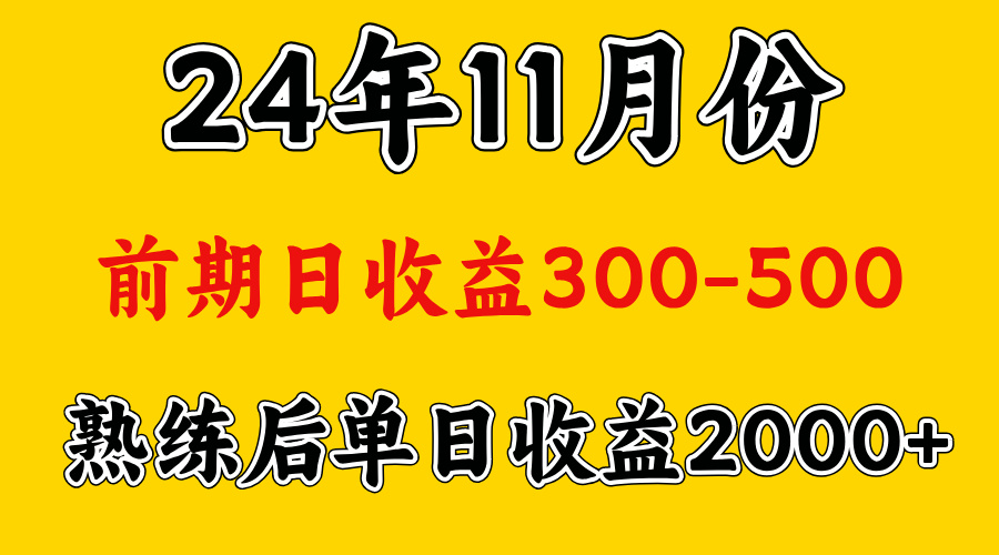 轻资产项目，前期日收益500左右，后期日收益1500-2000左右，多劳多得|琦哥资源