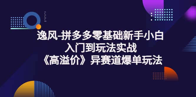 拼多多零基础新手小白入门到玩法实战《高溢价》异赛道爆单玩法实操课|琦哥资源