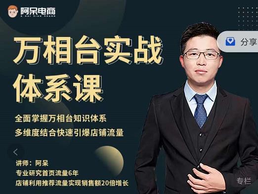 阿呆-万相台实战体系课，帮您全面掌握万相台知识体系|琦哥资源