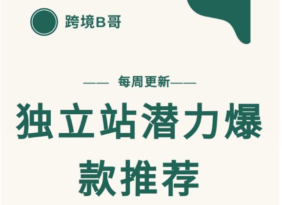 【跨境B哥】独立站潜力爆款选品推荐，测款出单率高达百分之80（每周更新）|琦哥资源