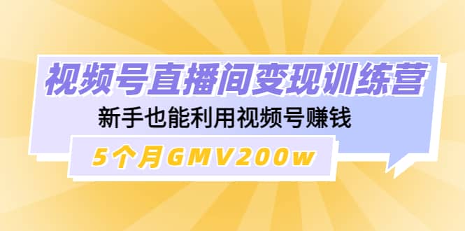 视频号直播间变现训练营|琦哥资源