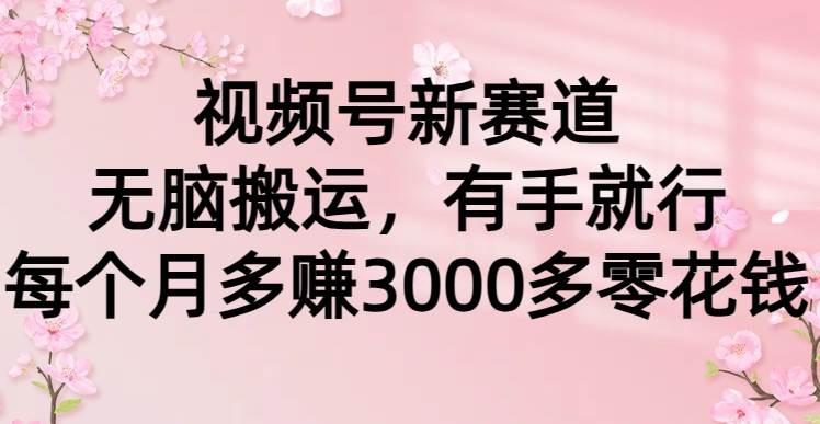 视频号新赛道，无脑搬运，有手就行，每个月多赚3000多零花钱|琦哥资源