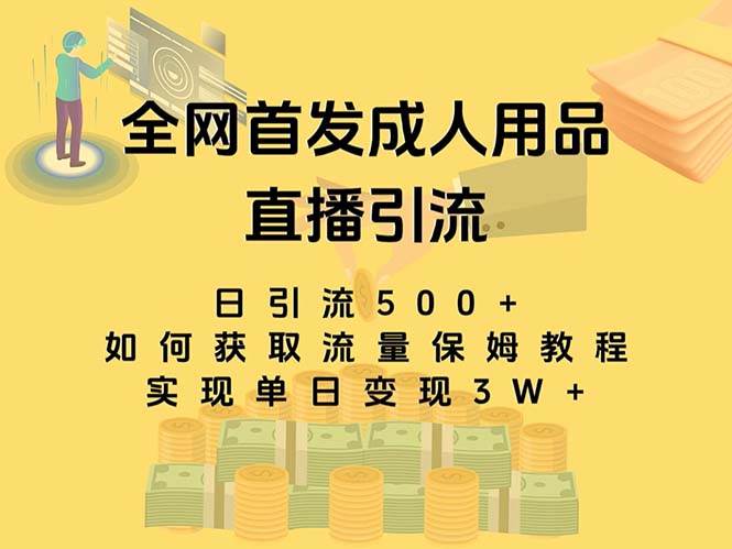 最新全网独创首发，成人用品直播引流获客暴力玩法，单日变现3w保姆级教程|琦哥资源