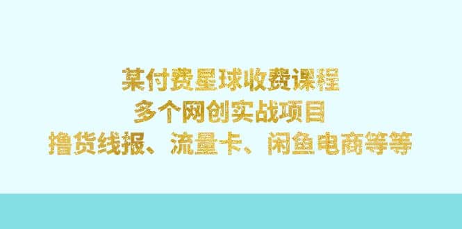 某付费星球课程：多个网创实战项目，撸货线报、流量卡、闲鱼电商等等|琦哥资源