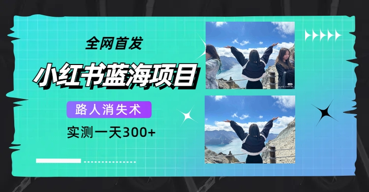 全网首发，小红书蓝海项目，路人消失术，实测一天300+（教程+工具）|琦哥资源