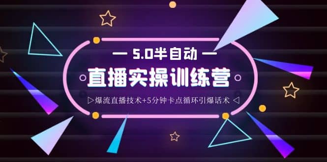 蚂蚁·5.0半自动直播2345打法，半自动爆流直播技术+5分钟卡点循环引爆话术|琦哥资源