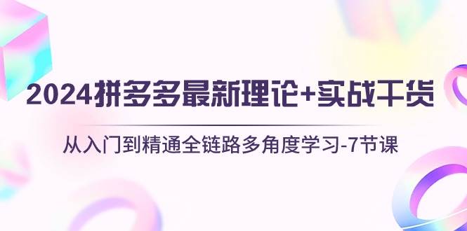 2024拼多多 最新理论+实战干货，从入门到精通全链路多角度学习-7节课|琦哥资源
